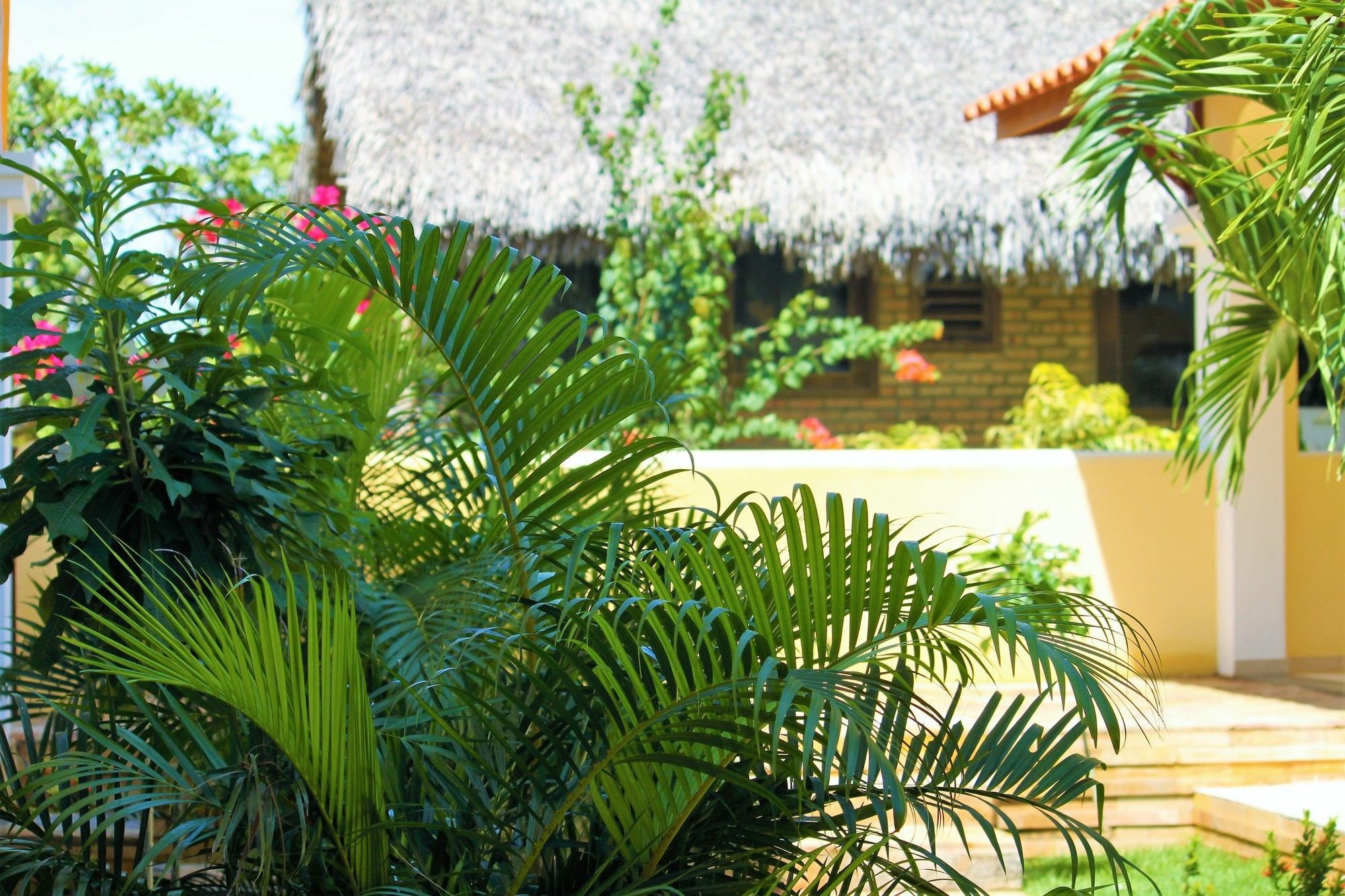 Hotel Villa Beija Flor Jijoca de Jericoacoara Luaran gambar