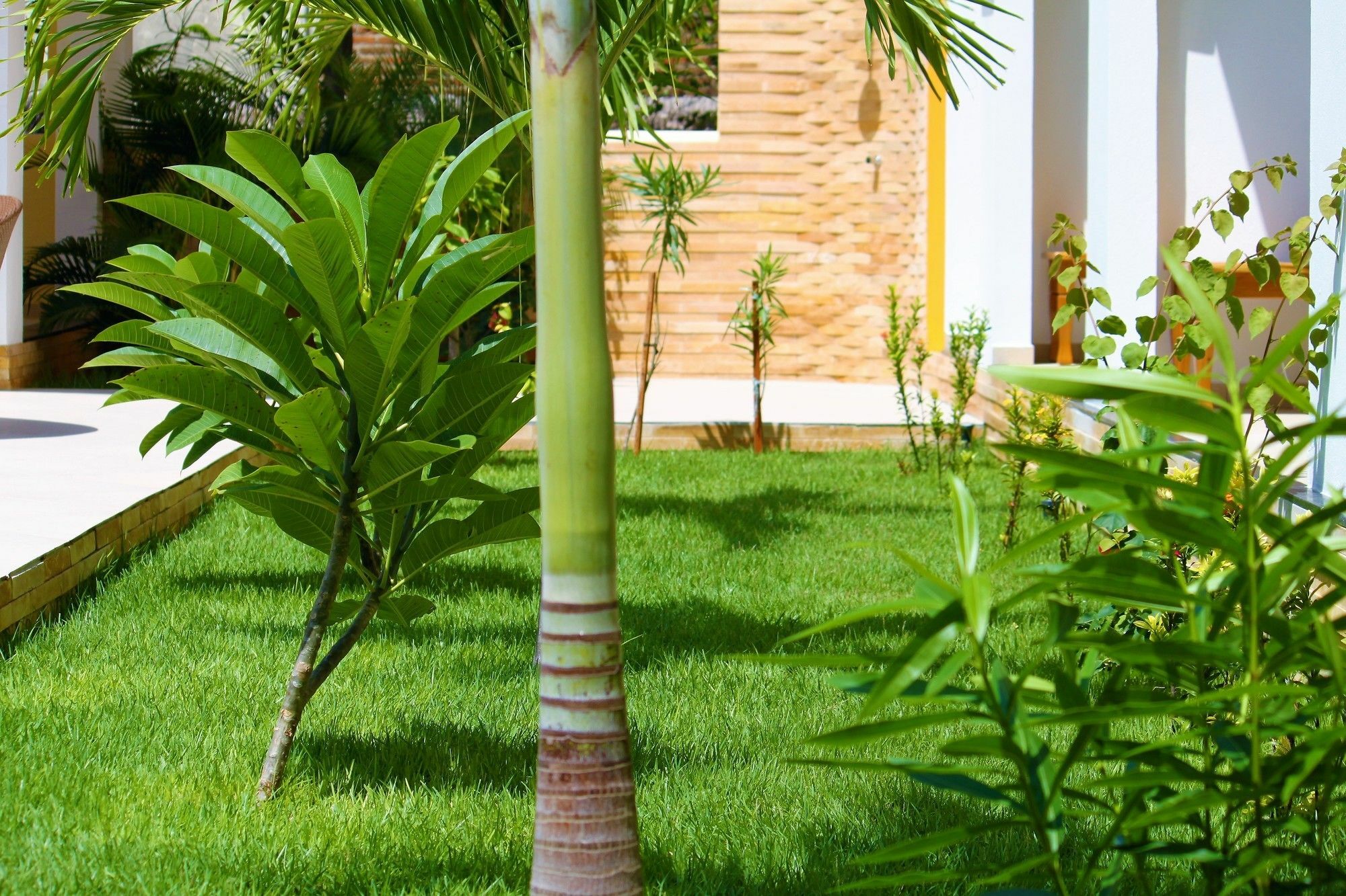 Hotel Villa Beija Flor Jijoca de Jericoacoara Luaran gambar